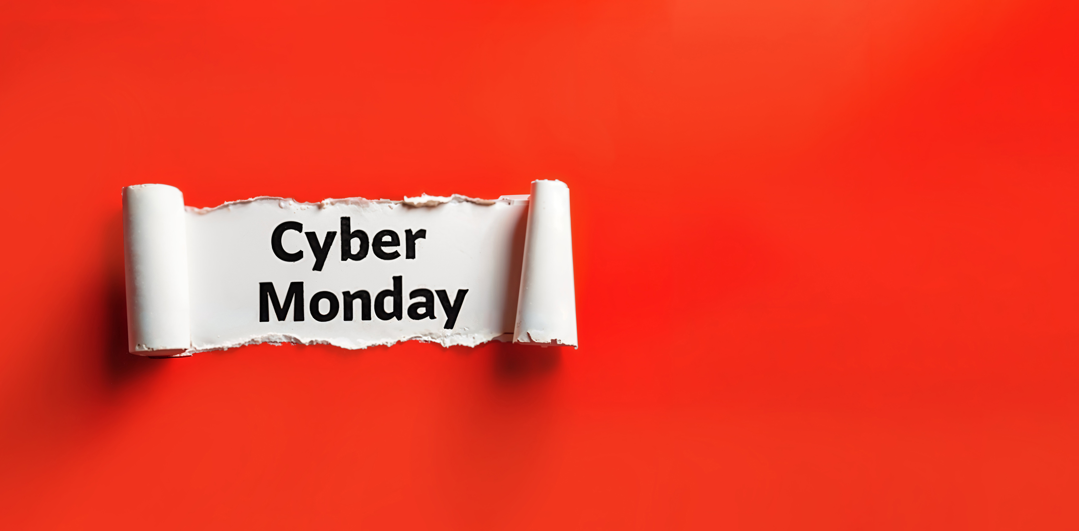Cyber Monday celebration
